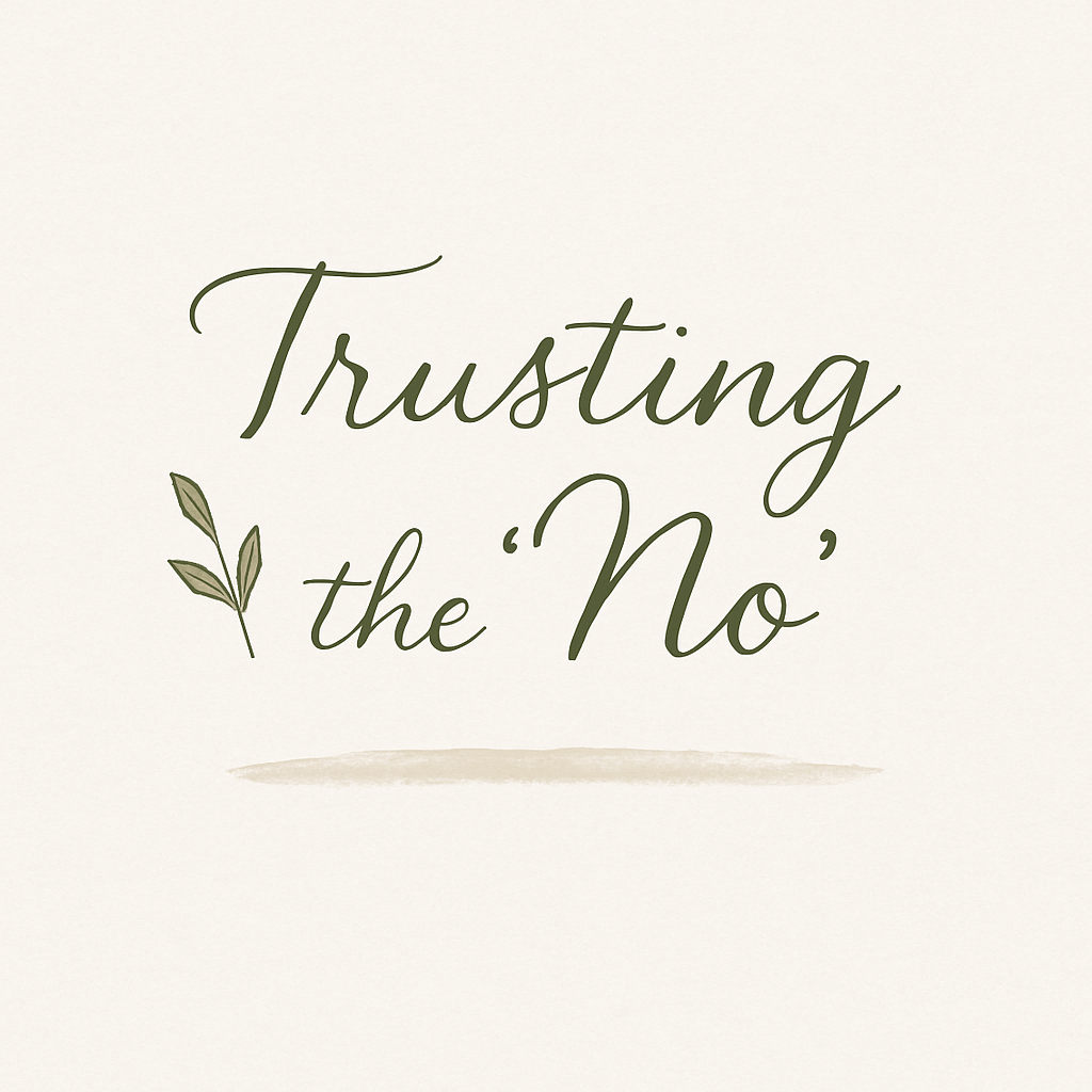 🕊️ Rejection as&nbsp;Protection